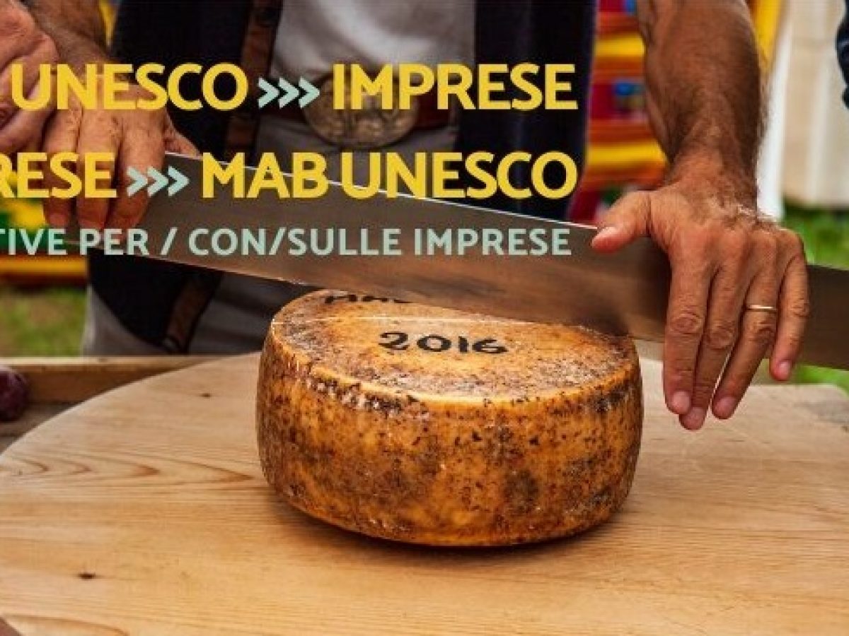 Social Media_Locandina. 28.11 incontro imprese