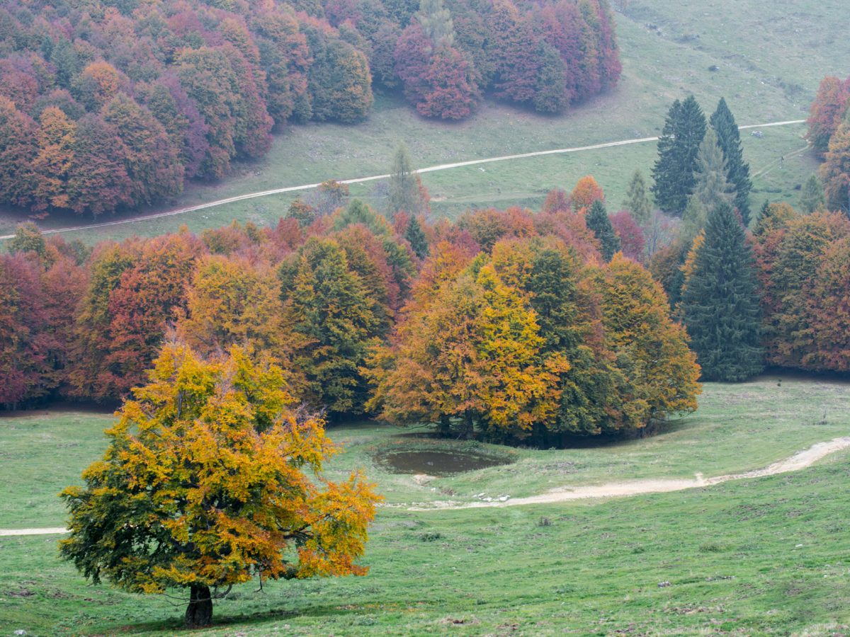 autunno 2