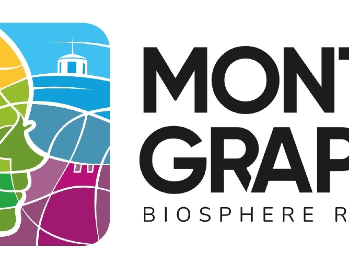 logo_MG logo_MG