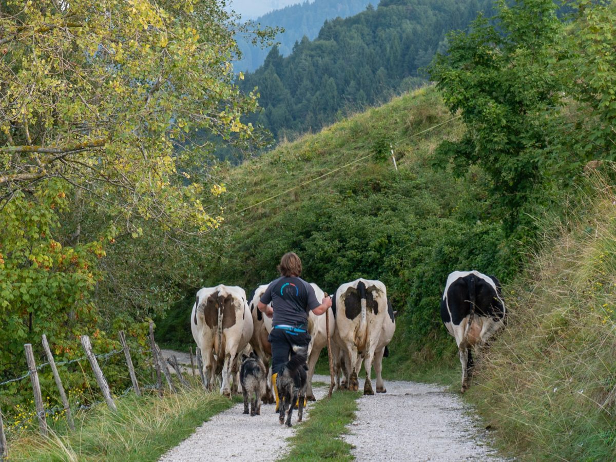 malga